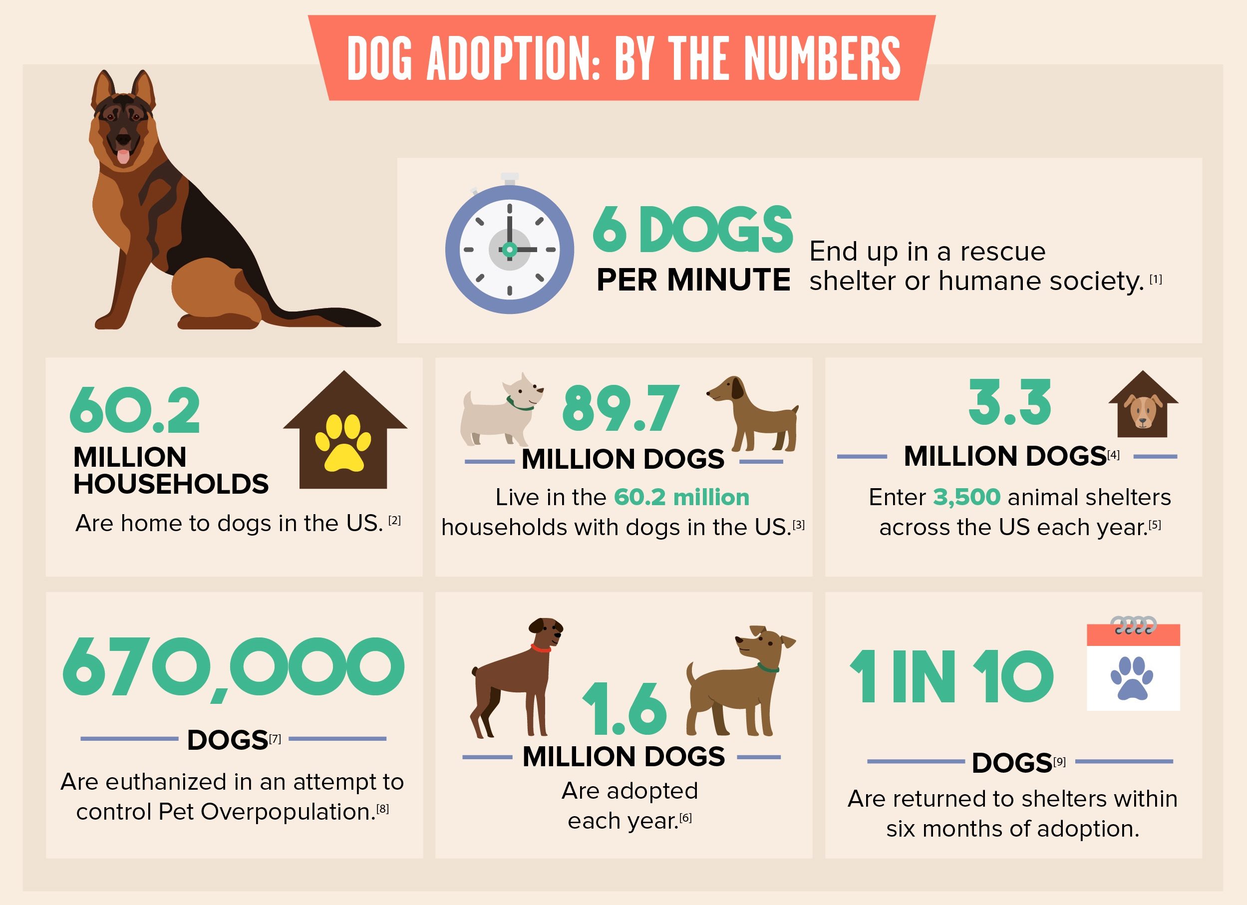 Things to Know and Follow Before Adopting a Dog Dog Dwell